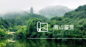 南山鉴赏